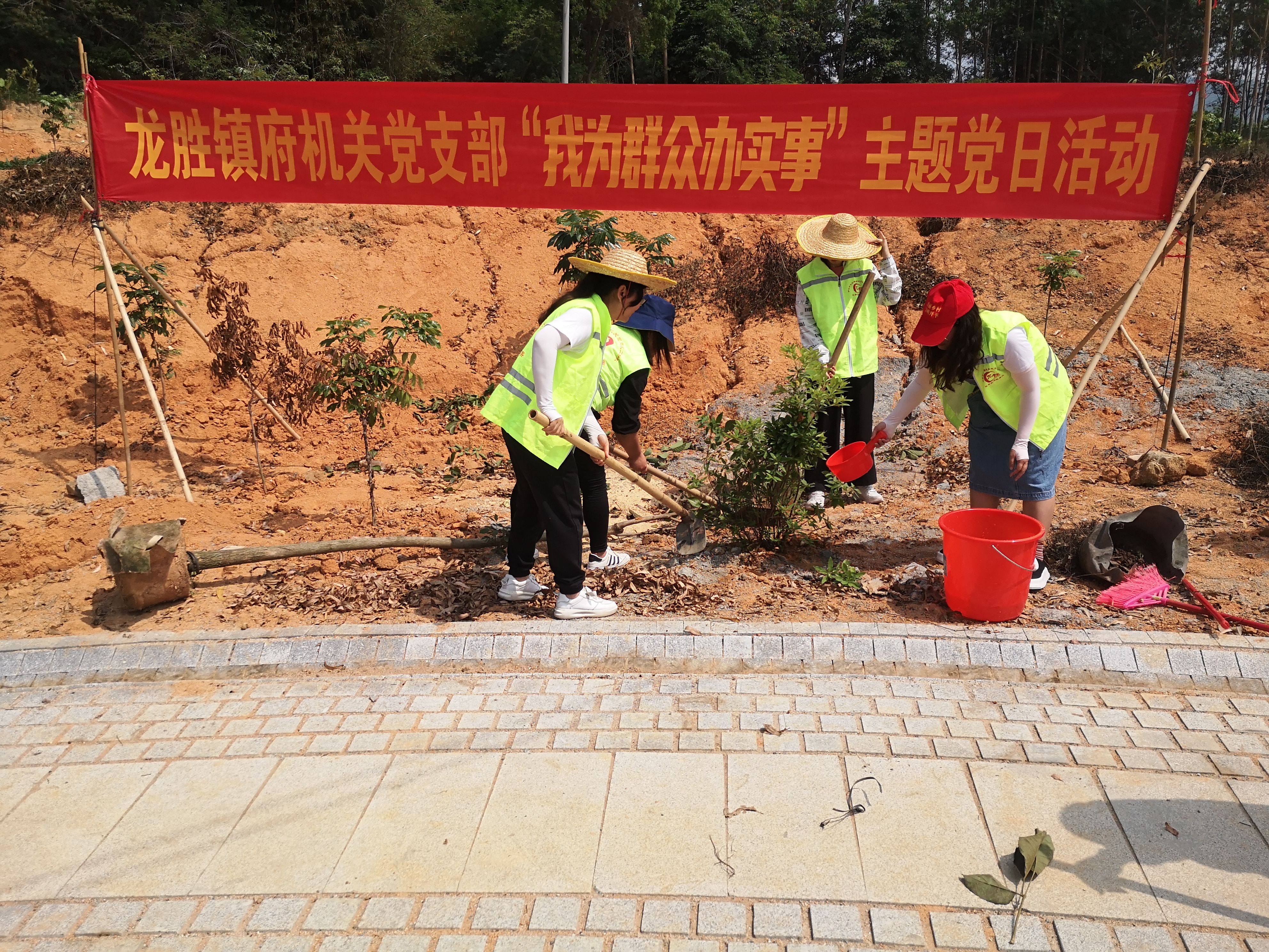 13“我為群眾辦實事 我為森林小鎮(zhèn)添新綠”植樹活動2.jpg