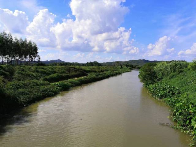 麗洞水沙塘鎮(zhèn)蓢畔村河段