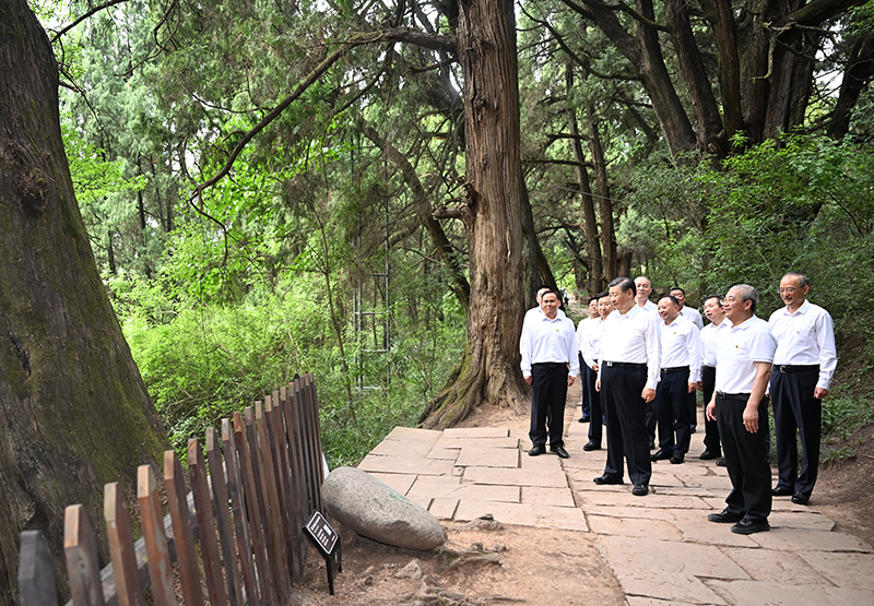 7月25日至27日，中共中央總書(shū)記、國(guó)家主席、中央軍委主席習(xí)近平在四川考察。這是25日下午，習(xí)近平在廣元市劍閣縣翠云廊考察。