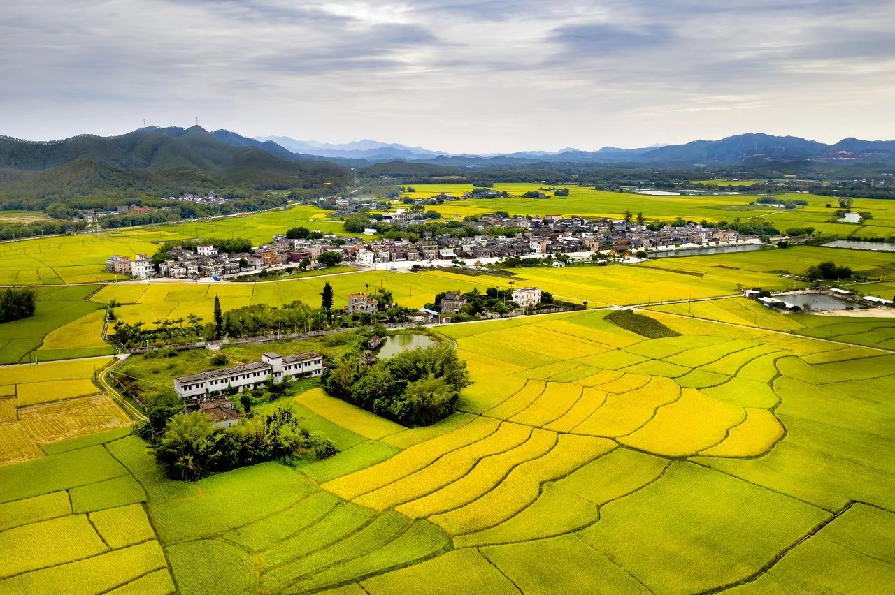 1.開平市赤水鎮(zhèn)沙洲村村容村貌全景圖.jpg