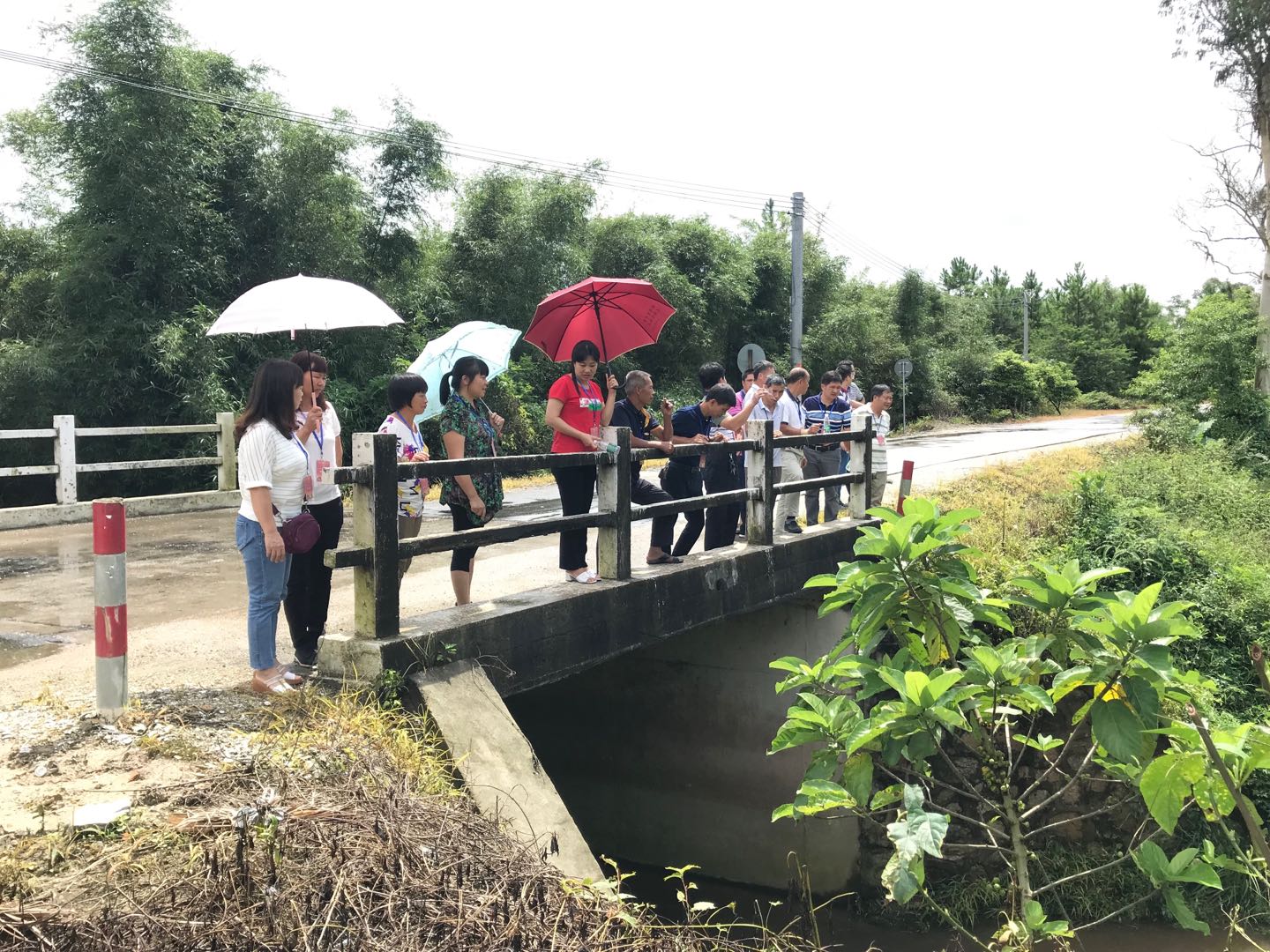 4代表巡河（紅光水山橋）.jpg